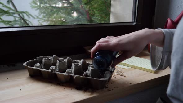 woman planting seeds in plastic pots on windowsill