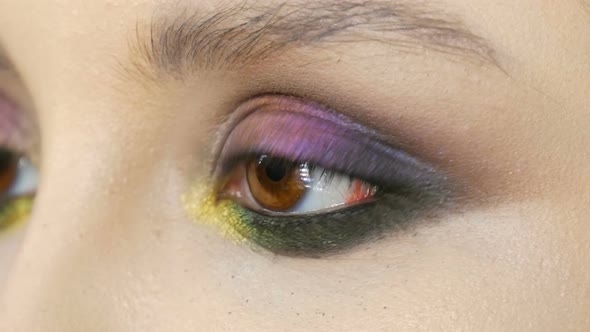 Fashionable Multicolored Eye Shadow Chameleon with Yellow Purple Gray Silver Color on the Eyelid of