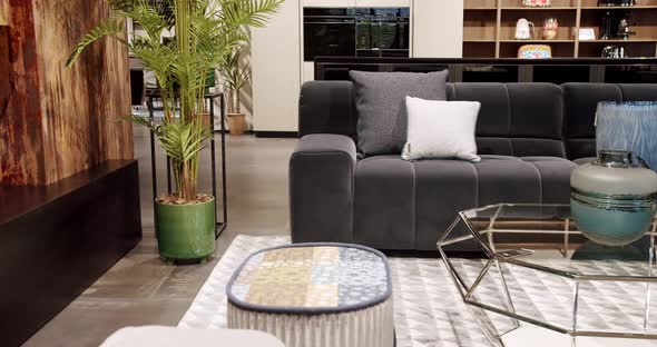 Modern Dark Gray Fabric Sofa