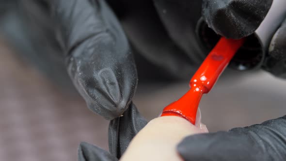 Applying a Layer of Red Varnish to the Nail Surface