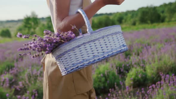 Smiling Girl Drinking Coffee in Lavender Field