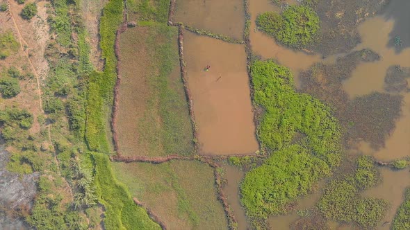 Aerial: Shot of rice fields in Madagascar