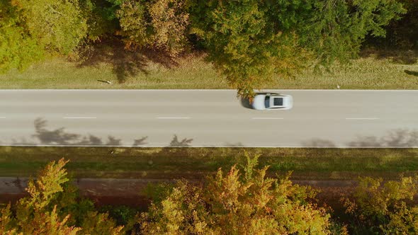 Aerial autumn street view -  top shot drone footage zooming out at a straight road, leading through