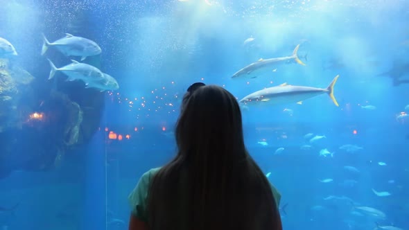 Woman in the Aquarium Watching the Fish