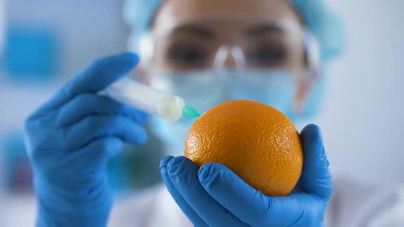 Laboratory Expert Filling Fresh Orange With Chemical Substance, Cosmetology