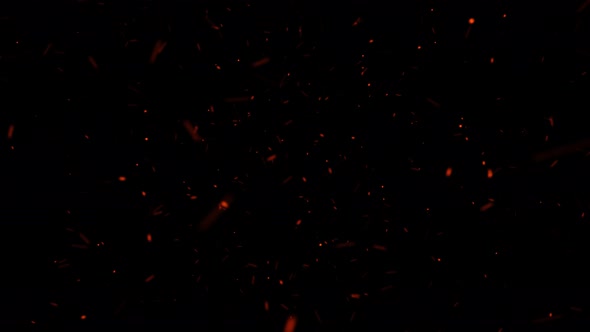 Flying Spark Loop alt