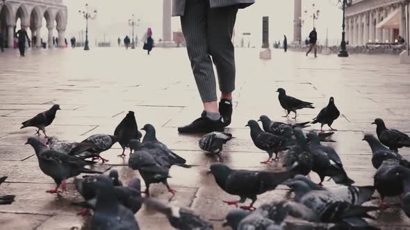 Big Flock of Pigeons Around Happy Female Tourist with Camera on Old San Marco City Square in Venice