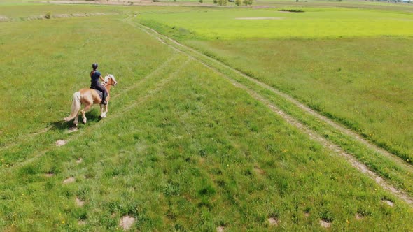 Jockey On A Light Brown Horse With A Blonde Mane Moving Across The Farm Field