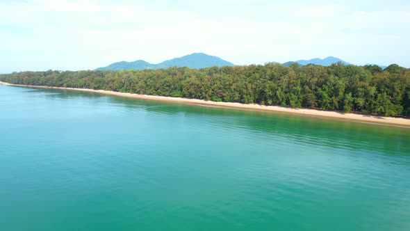 4K aerial view from a drone. Beautiful scenery of the coast with many pine trees.