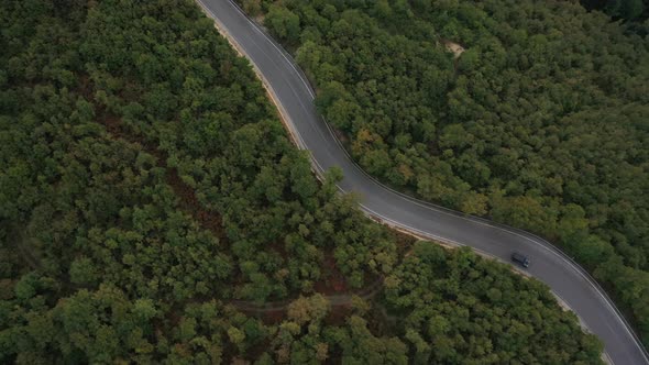 Big Way And Forest Aerial