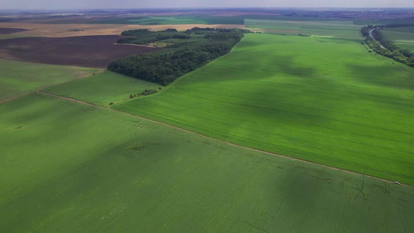 Aerial View of Agriculture in Fields for Cultivation