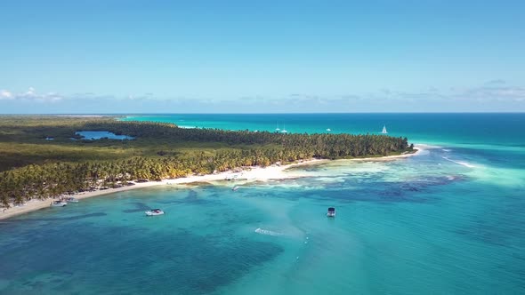 4k 24fps Palms Tree In The Saona Island With Drone Dominican Republic 2