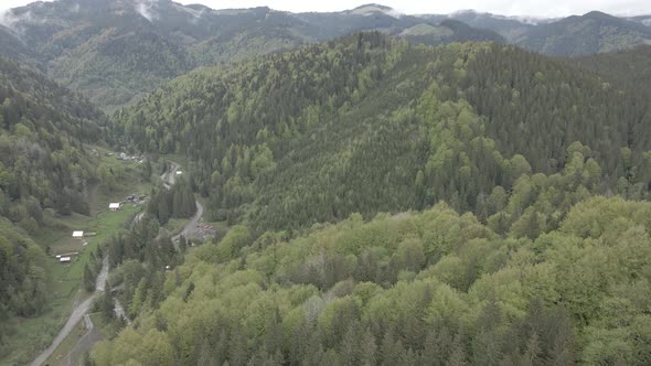 Landscape of the Carpathian Mountains. Slow Motion. Ukraine. Aerial. Gray, Flat