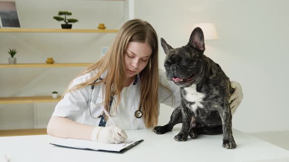 Veterinarian is Watching at Dog and Makes Notes