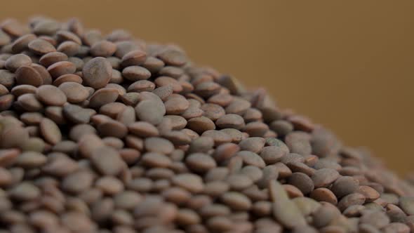 Raw uncooked brown lentils. Legume family. Macro