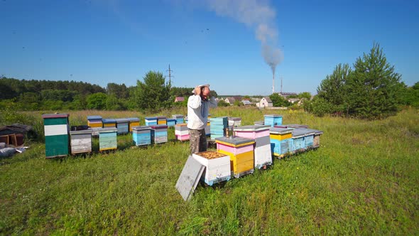 Apiary on industrial factory background