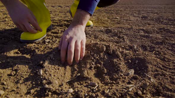 The farmer is working with the land. Hands and soil in close-up.