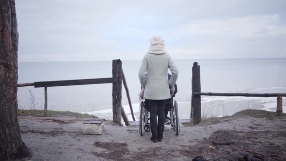 Back View of Female Invalid Tender Standing with Disabled Man in Wheelchair on Freezed River Bank