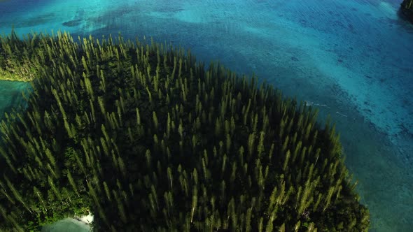 Bird's eye view flying over small island of columnar pine trees, Oro Bay, Isle of Pines.