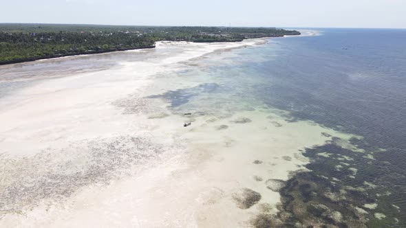 Shore of Zanzibar Island Tanzania at Low Tide Slow Motion