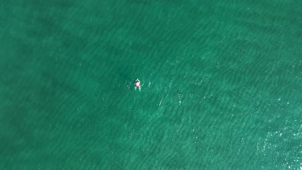 A man swims in the sea aerial view 4K