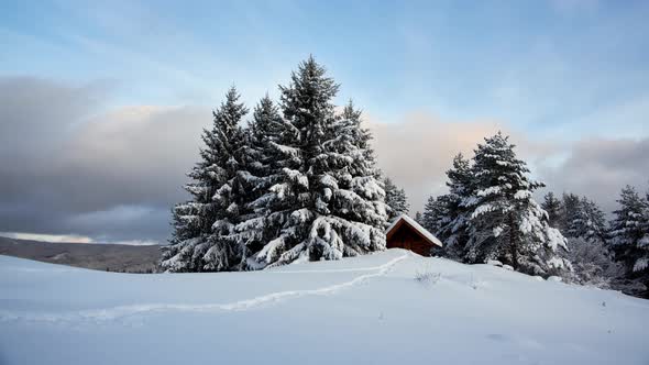 Cottage Among the Tree Idyllic Landscape Tourist Walks on the Sidewalk