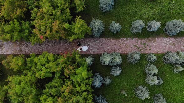 Married Couple Walks Along Road Among Green Plants in Park