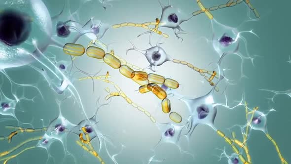 Intro Brain Impulses. Neuron System. Transferring Pulses And Generating