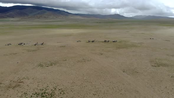 Deerstone Stele in the Mongolia Meadows