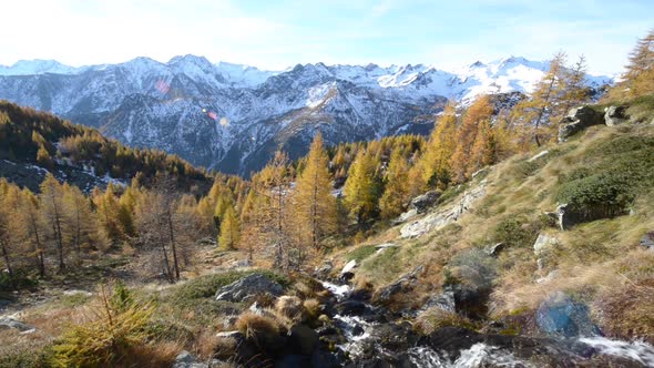 Small Creek Waterfall in Italian Alps Mountain Durin Autumn Season with Red Larches Woods