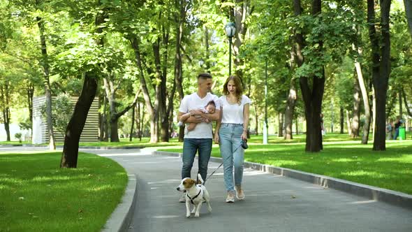 Young Family with Newborn Baby Walking Dog in Summer Park