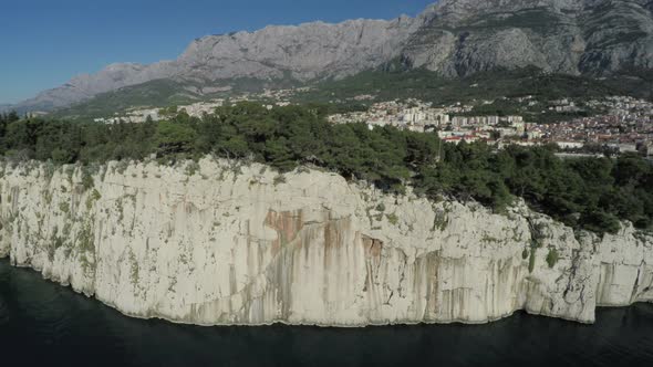 Aerial view of a headland with forest