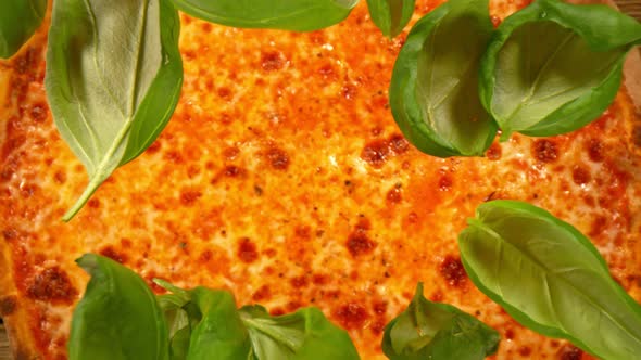 Super Slow Motion Shot of Basil Leafs Falling on Fresh Pizza at 1000 Fps