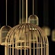Hanging Cages - VideoHive Item for Sale