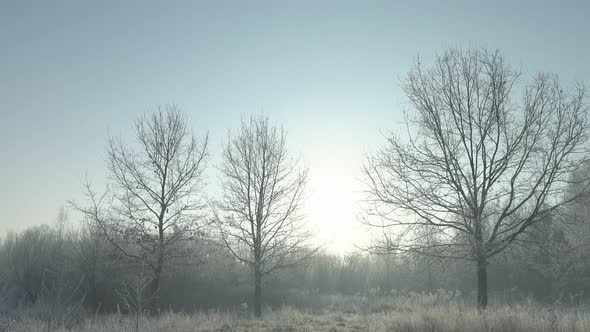 Winter & Landscape