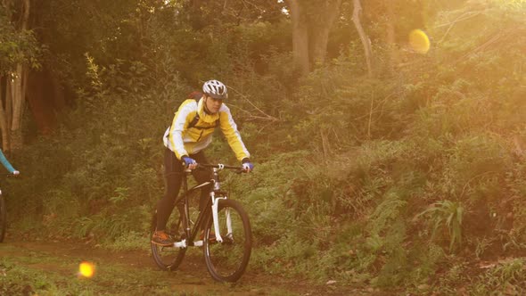 Mountain biking couple riding in the forest on a sunny day