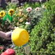 A Child with a Small Watering Can Watering Flower Garden - VideoHive Item for Sale