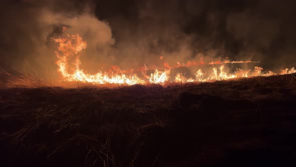 Blazing Fires in a Paddy Field at Night Burning Stubble