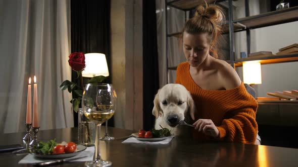 Caring Female Owner Feeding Dog Friend From Fork