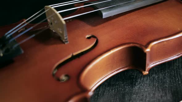 Part of aged violin on black background