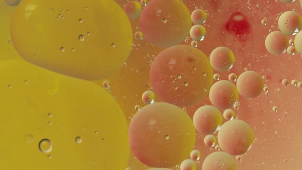 Fantastic Structure of Colorful Bubbles. Chaotic Motion. Abstract Background