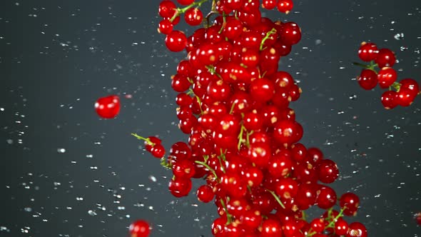 Super Slow Motion Shot of Red Currants and Water Side Collision on Grey Background at 1000Fps