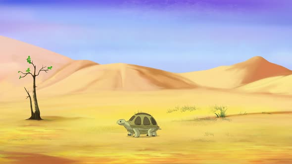 Little brown turtle walks through the sandy desert