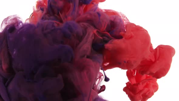 Ink cloud motion. Color explosion alt