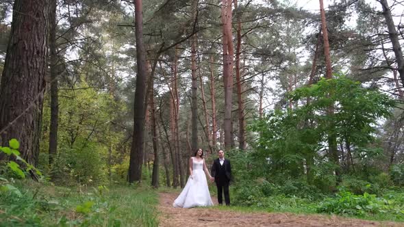 Beautiful Couple of Brides Walking in a City Park Wedding Day
