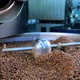 Cooling coffee beans after roasting - VideoHive Item for Sale