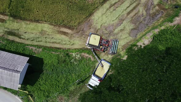 Aerial shot of combine loading off rice grains into truck.