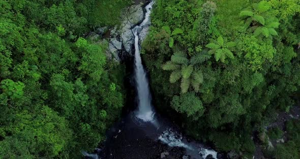 Aerial view from drone flying over nature view of waterfall with rocky river and surrounding vegetat