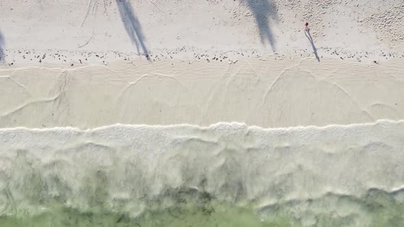 Vertical Video of the Coast of Zanzibar Island Tanzania Slow Motion