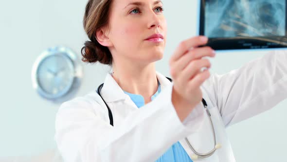 Female doctor examining a x-ray report